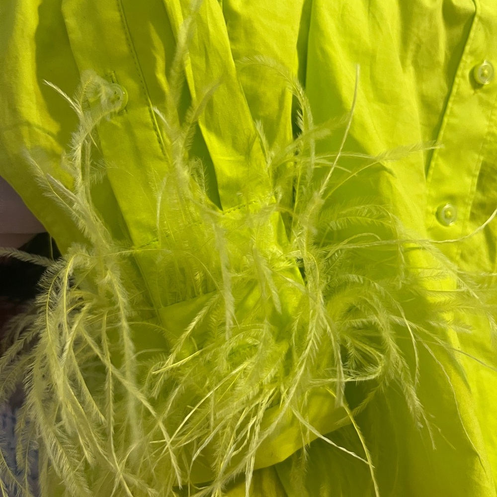 J Crew feathered cotton shirt - Picture 3 of 7